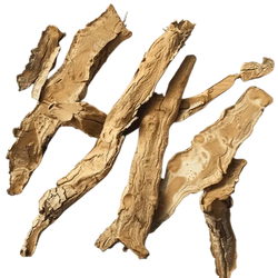 Anemarrhena Asphodeloides Root Extract
