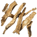 Anemarrhena Asphodeloides Root Extract