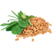 Fenugreek Extract