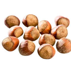 Hazelnut Seed Oil