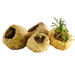 Maca Root Extract