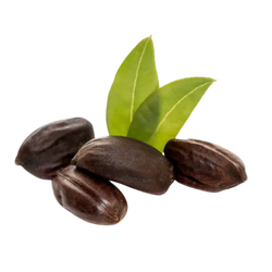 Simmondsia Chinensis Seed Oil