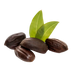 Simmondsia Chinensis Seed Oil