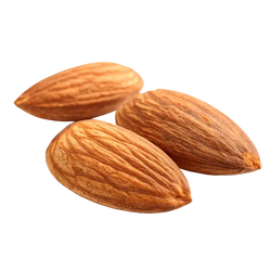 Sweet Almond Oil