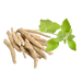 Ashwagandha Extract