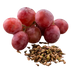 Grape Seed Extract