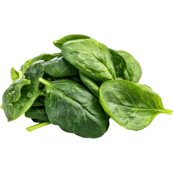 Magnesium