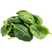 Magnesium
