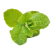 Menthol