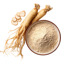 Panax Ginseng Root Extract