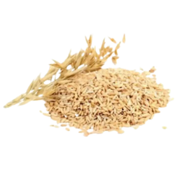 Avena Sativa Kernel Extract